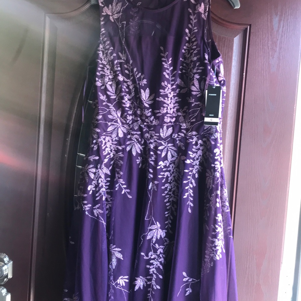 Dress 👗 NWT Women Size 12